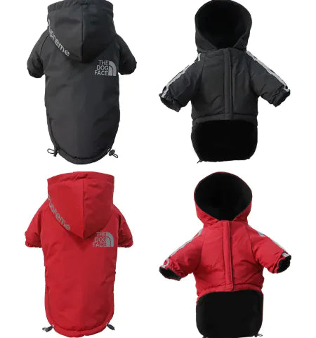 The Dog Face winter jacket