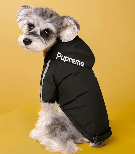 The Dog Face winter jacket