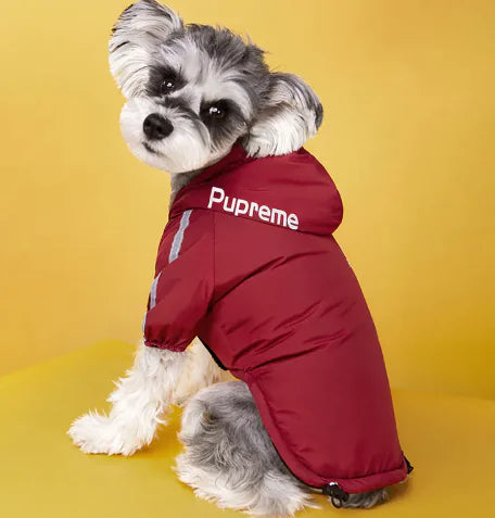 The Dog Face winter jacket