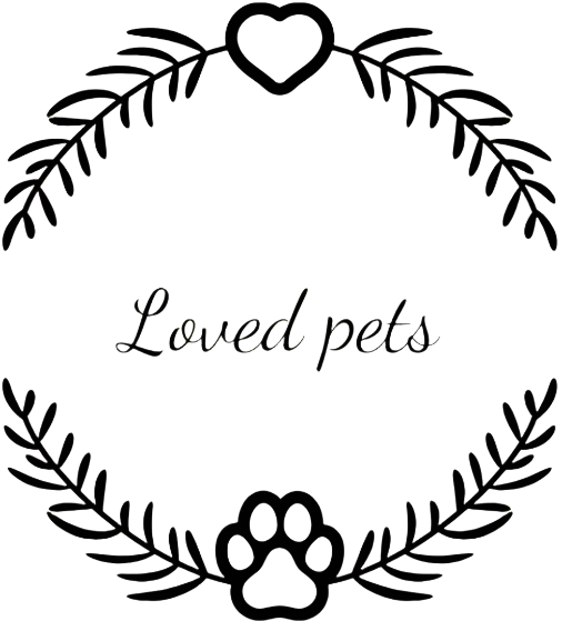 Kochi